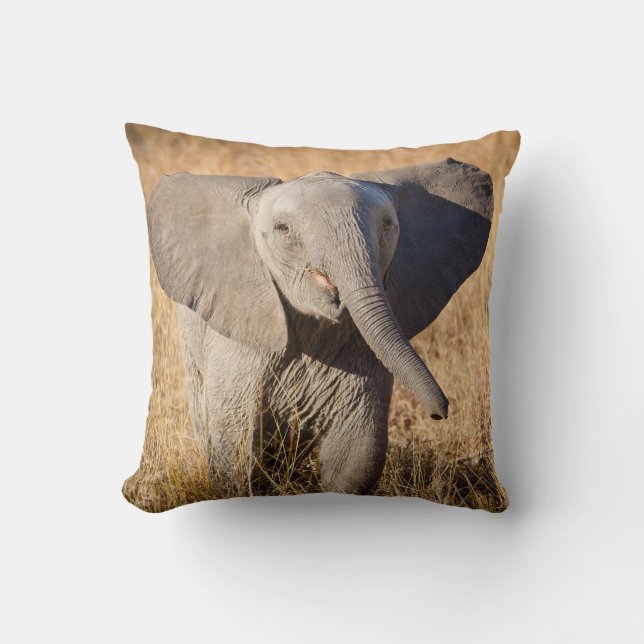 Jonge savanneolifant kussen (Voorkant)