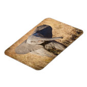 Jonge savanneolifant magneet (Linkerzijde)