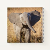 Jonge savanneolifant notitieboek (Achterkant)