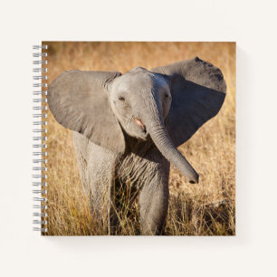 Jonge savanneolifant notitieboek