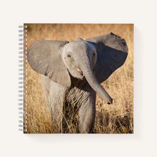 Jonge savanneolifant notitieboek (Voorkant)