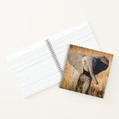 Jonge savanneolifant notitieboek (Binnen)