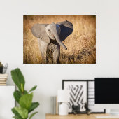 Jonge savanneolifant poster (Thuiskantoor)