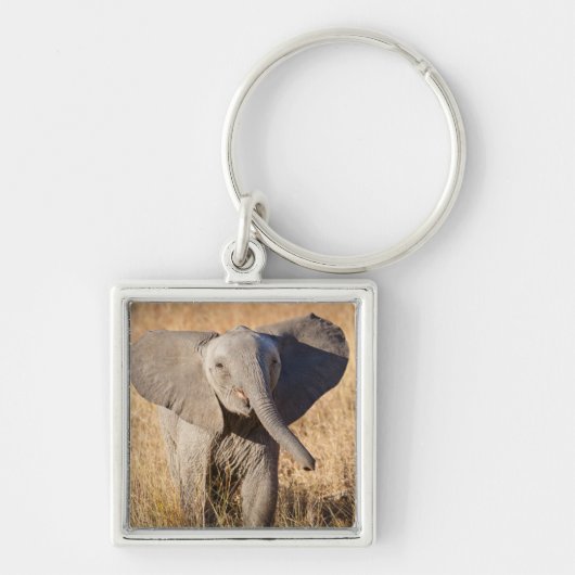 Jonge savanneolifant sleutelhanger (Voorkant)