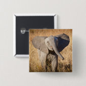 Jonge savanneolifant vierkante button 5,1 cm (Voorkant /achterkant)