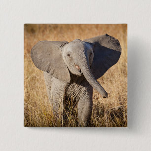 Jonge savanneolifant vierkante button 5,1 cm