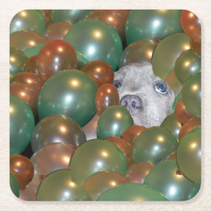 Jonge staffy die in ballonnen hangt, papieren Onde Kartonnen Onderzetters