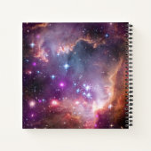 Jonge sterren in de kleine Magelhaense wolk. Notitieboek (Achterkant)