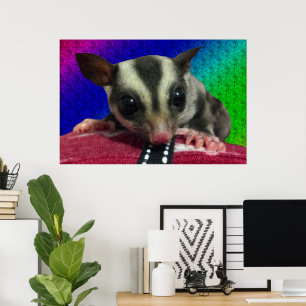 Jonge Suikereekhoorn Poster