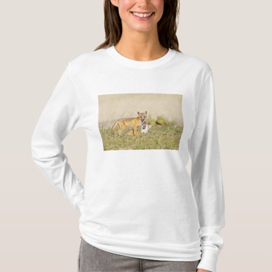 Jonge Swiftvos (Vulpes macrotis) bij hol, 4 T-shirt (Voorkant)