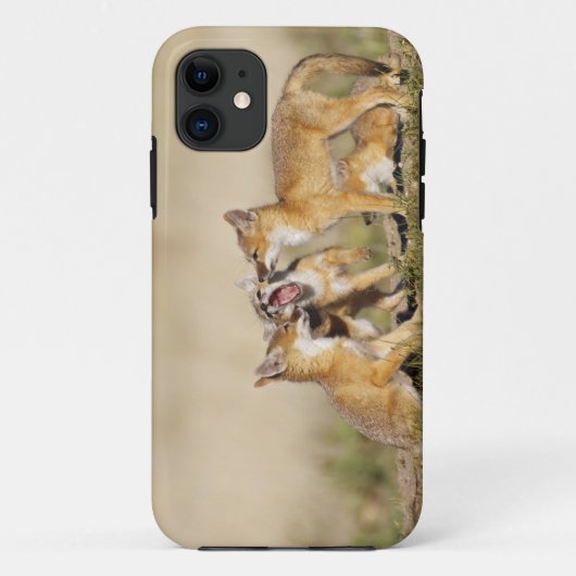 Jonge Swiftvos (Vulpes macrotis) bij hol, Case-Mate iPhone Case (Achterkant)