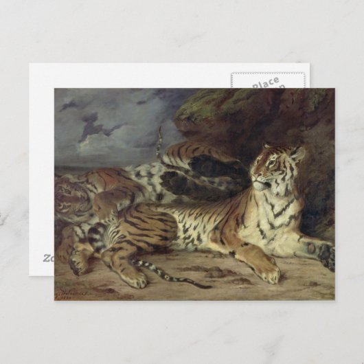 Jonge tijger die met zijn moeder speelt, 1830 (oli briefkaart (Voorkant / Achterkant)