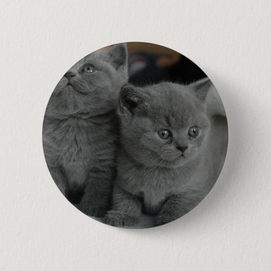 jonge van de het snorrenmiauw van het ronde button 5,7 cm (Voorkant)