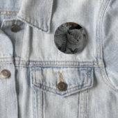 jonge van de het snorrenmiauw van het ronde button 5,7 cm (In situ)