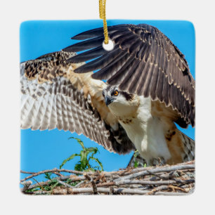 Jonge Visarend in het nest Keramisch Ornament