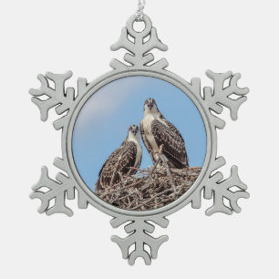 Jonge visarend in het nest tin sneeuwvlok ornament