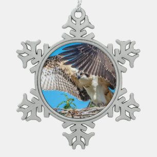 Jonge Visarend in het nest Tin Sneeuwvlok Ornament