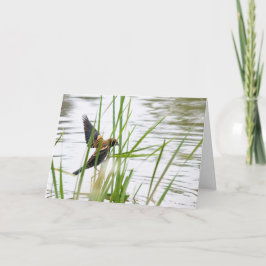 Jonge vogel in vlucht kaart