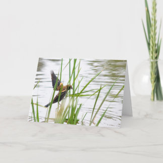 Jonge vogel in vlucht kaart