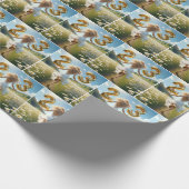 Jonge vrouw ballonnen voor 23e verjaardag cadeaupapier (Hoek)