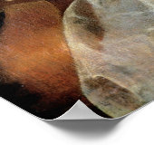 Jonge Vrouw die een Viola da Gamba speelt Poster (Hoek)