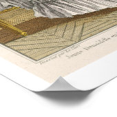 Jonge vrouw die muziek studeert op haar Harpsichor Poster (Hoek)