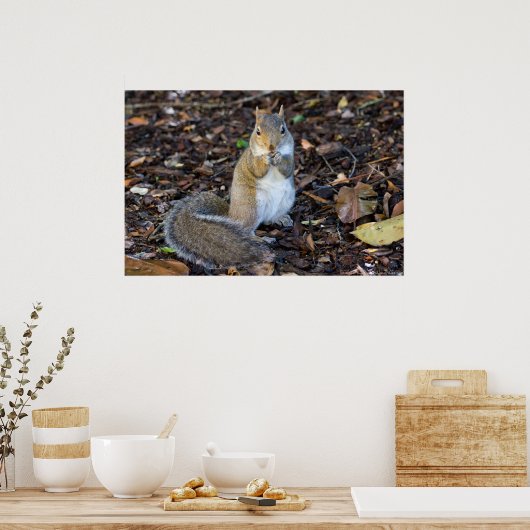 Jonge Vrouwen eekhoorn met ontbijtPoster Poster (Keuken)