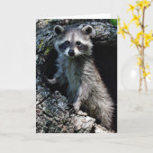 Jonge Wasbeer Kaart (Gele Bloem)