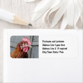 Jonge Welsummer Haan Kip Etiket (Insitu)