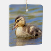 Jonge wilde eend keramisch ornament (Rechts)