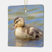 Jonge wilde eend keramisch ornament (Links)