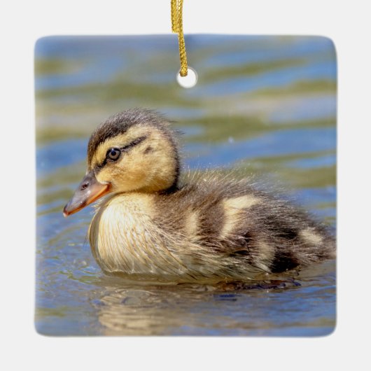Jonge wilde eend keramisch ornament (Voorkant)