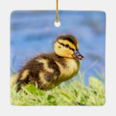 Jonge wilde eend keramisch ornament (Achterkant)