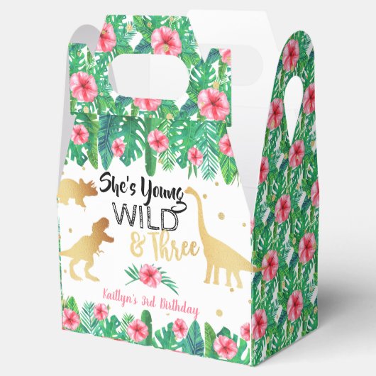 Jonge wilde en Drie Dinosaur-meisjes Derde verjaar Bedankdoosjes (Geopend)