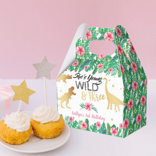 Jonge wilde en Drie Dinosaur-meisjes Derde verjaar Bedankdoosjes