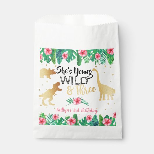 Jonge wilde en Drie Dinosaur-meisjes Derde verjaar Bedankzakje (Voorkant)