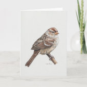 Jonge Wit-gekroonde Sparrow Art Kaart (Voorkant)