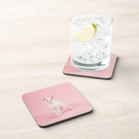 Jonge witte kat drankjes onderzetter (Rechterzijde)