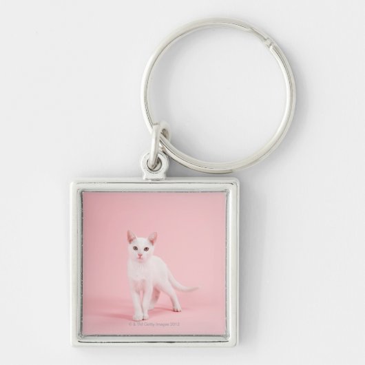 Jonge witte kat sleutelhanger (Voorkant)