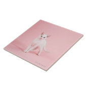 Jonge witte kat tegeltje (Zijkant)