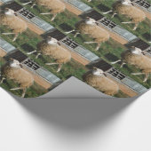 Jonge witte schapen op het Boerderij Cadeaupapier (Hoek)