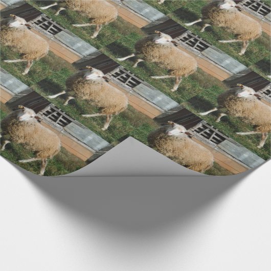 Jonge witte schapen op het Boerderij Cadeaupapier (Hoek)