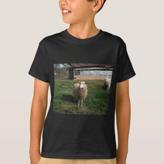 Jonge witte schapen op het Boerderij T-shirt (Voorkant)