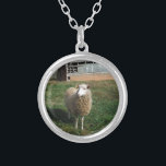 Jonge witte schapen op het Boerderij Zilver Vergulden Ketting<br><div class="desc">Young White Sheep on the Boerderij Foto van Sandy Closs "farm animals",  baby,  "baby shower" Lamb,  "mammie ovine",  "white schaap",  "lamb moeder" land "rustic bruiloft",  "lamb gifts" herder,  kerstroom</div>