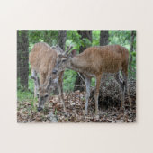 Jonge witteboeien in klvet legpuzzel (Horizontaal)