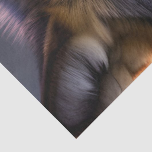 Jonge wolf Stare Tissuepapier (Detail)