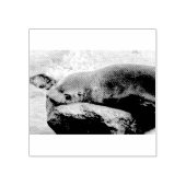 Jonge zee leeuw rubberstempel (Afrduk)