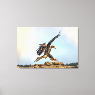 Jonge zeearend landing canvas afdruk