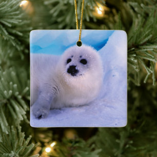 Jonge zeehond bedekt met sneeuwvlokken keramisch ornament