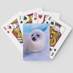 Jonge zeehond bedekt met sneeuwvlokken pokerkaarten